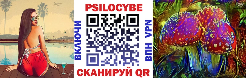 mega ССЫЛКА Ковров Псилоцибиновые грибы Psilocybe хочу